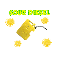 Sour Diesel Weed Sticker by commcan