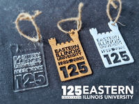 Eastern Illinois University Snow GIF by EIU
