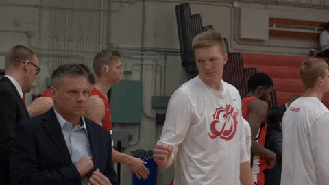 GIF by MSUM Dragons