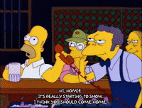 homer simpson GIF