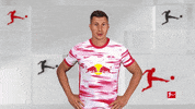 Rb Leipzig Wow GIF by Bundesliga