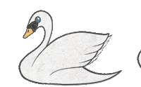 Birds Isu Sticker by Iowa State University Foundation