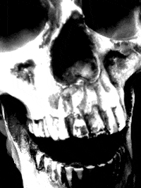 black and white skull GIF
