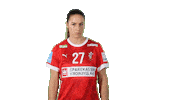 Celebration Handball Sticker by Dansk håndbold