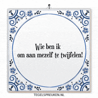 Humor Nl GIF by Tegelspreuken.nl