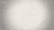 Culture Aae GIF by PBS Digital Studios