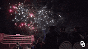 university of oklahoma GIF