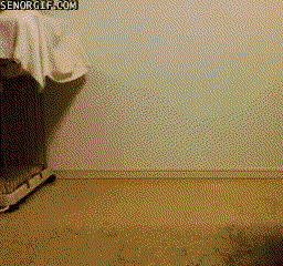 pug dancing GIF by Cheezburger