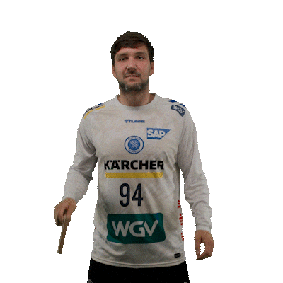 Handball Stuttgart Sticker by DAIKIN HBL