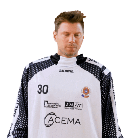 Floorball Sparta Sticker by Český florbal