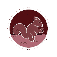 RUSSELLHOUSEUU usc rh uofsc squirell Sticker