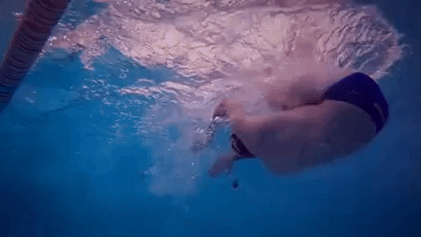 skillsnt giphyupload GIF