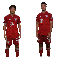 fcbayerncampus football soccer team fussball Sticker