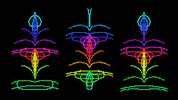 psychedelic rainbow GIF by jakealope