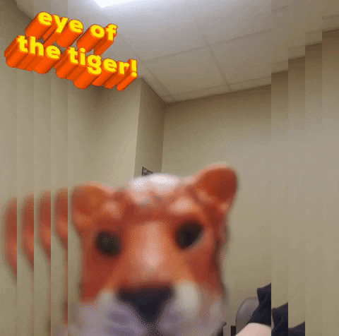 qky75 eye of the tiger GIF