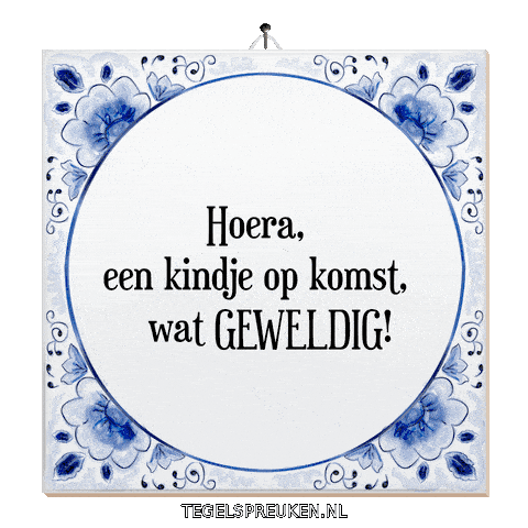 Humor Nl Sticker by Tegelspreuken.nl