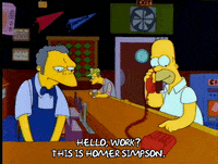Season 4 Episode 3 GIF by The Simpsons