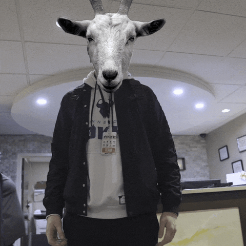 rokkr giphyupload esports goat pew pew GIF