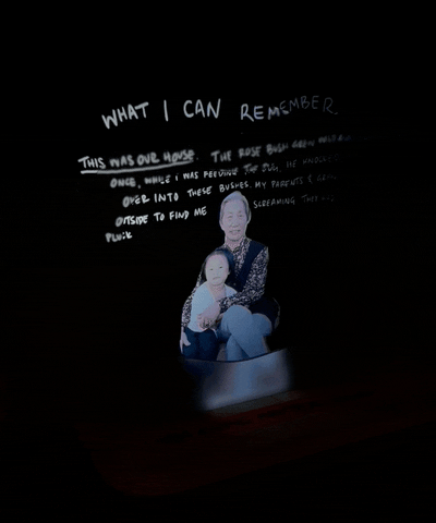 leilisms giphyupload GIF