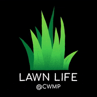 woodlandspavilion music concert livemusic pavilion GIF
