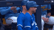 Major League Baseball Sport GIF by MLB