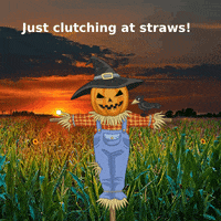 Halloween Night GIF