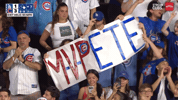Chicago Cubs Baseball GIF