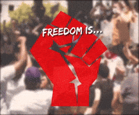 Freedom Is Clean Water