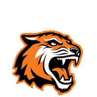 Sticker College Sticker by Rochester Institute of Technology