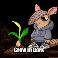 GIF by Chillo Dillo