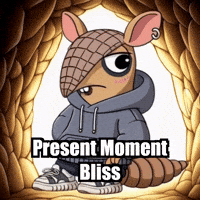 GIF by Chillo Dillo