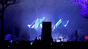 Music Festival Dance GIF by Insomniac Events
