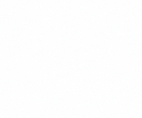 SEOZoom  GIF