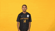 Sport Calstatela GIF by Cal State LA Golden Eagles