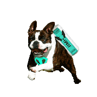 Hungry French Sticker by MOL Česká republika