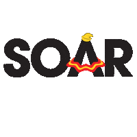 Disney Soar Sticker by Cultura Trading Co.