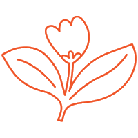Flower Grow Sticker