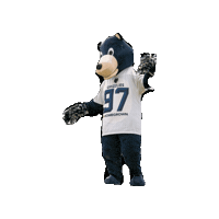 Happy American Football Sticker by Hannover Grizzlies