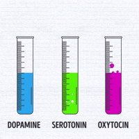 brain chemistry love GIF