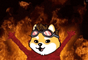 On Fire Burn GIF by Dogelon Mars