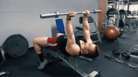 fitguide giphygifmaker GIF