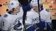 Ice Hockey Hug GIF by NHL