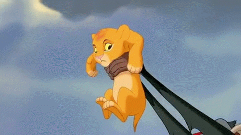 the lion king simba GIF