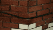 Day And Night GIF by Carly Rae Jepsen