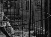 whip it good classic film GIF by Warner Archive