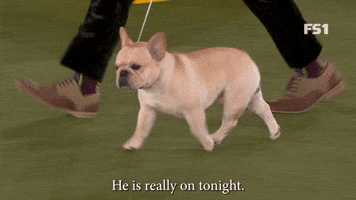 He Is Really On Tonight