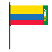 football futbol Sticker by Subway Colombia