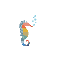 Seahorse Sealife Sticker by rillagorilla