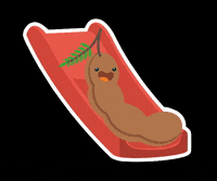 bappyhealth saludable suplementos gomitas bappy GIF