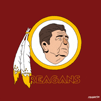 Washington Football Team GIF by gifnews